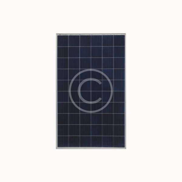 Longi Solar - 图片 3